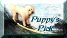 Puppy's Pick
